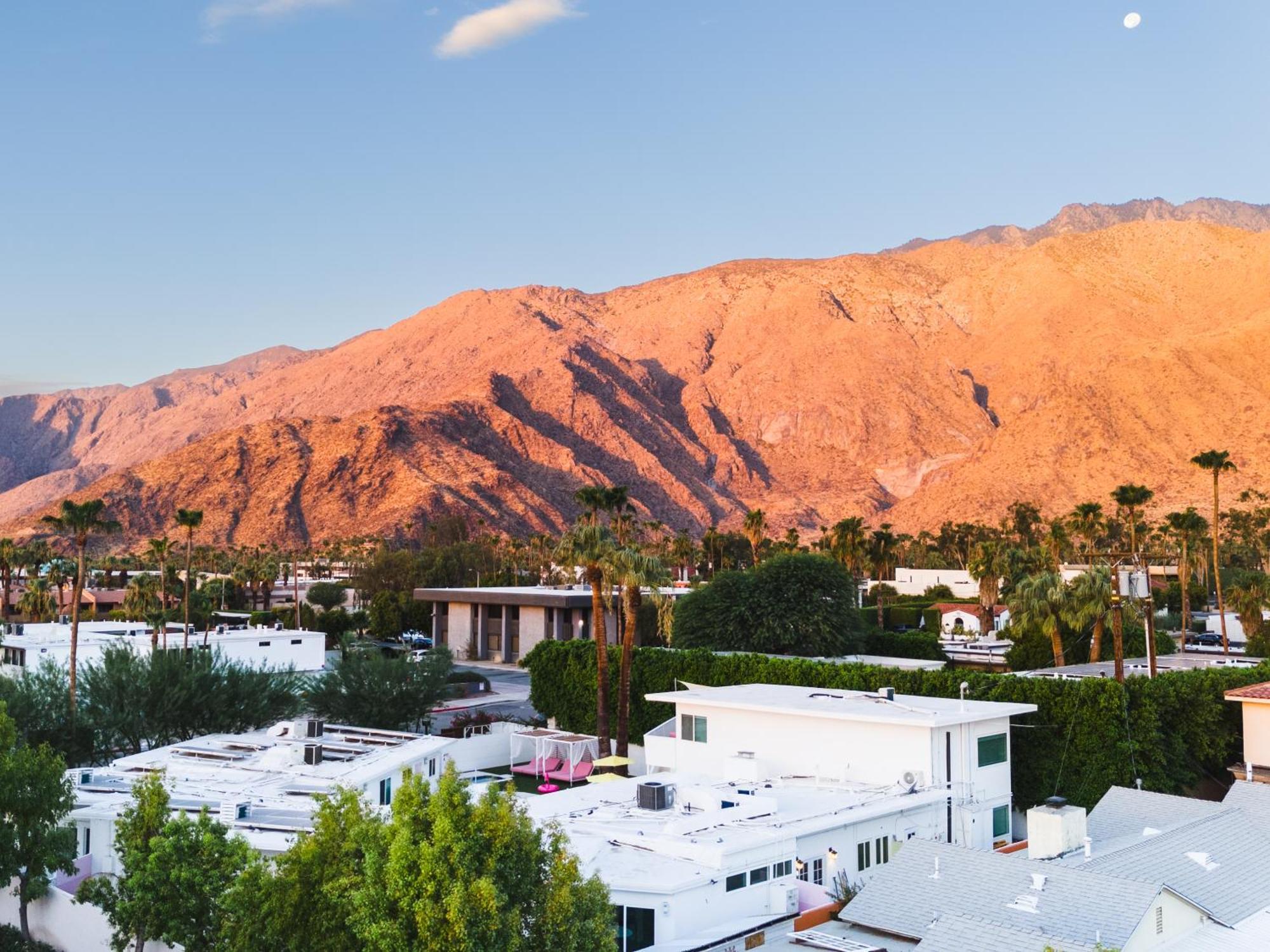 The Cactai Hotell Palm Springs Eksteriør bilde
